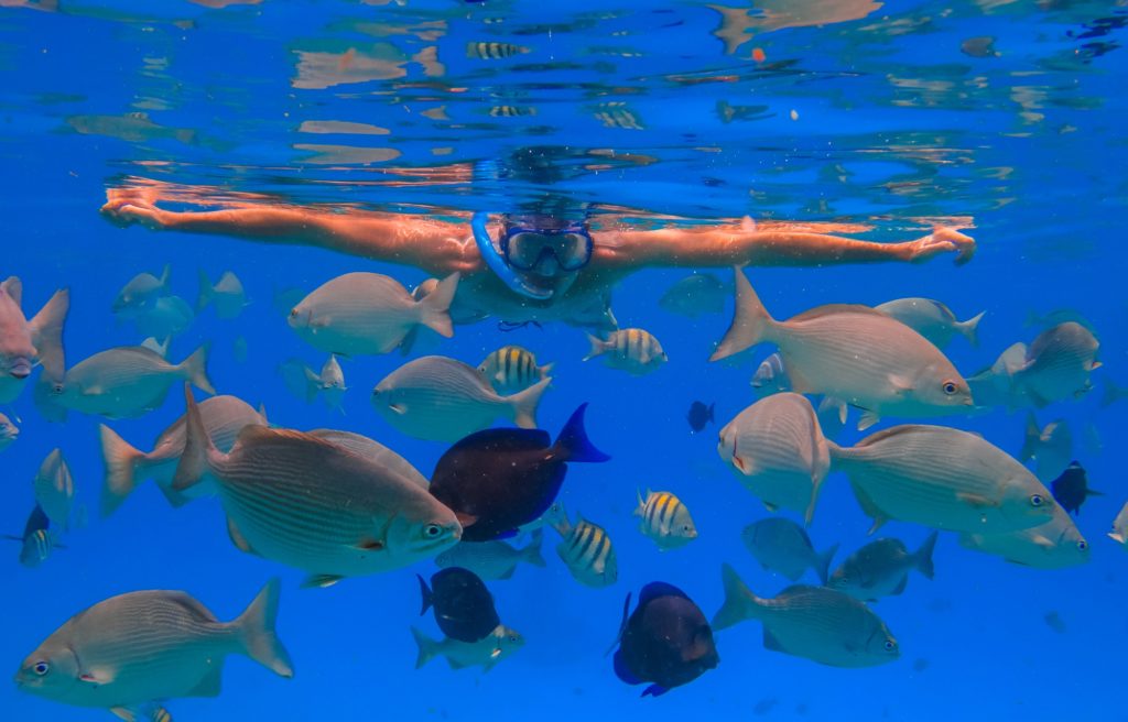 a woman snorkeling and meeting a variety of colorful fish under the sea during outdoor activities in Bali