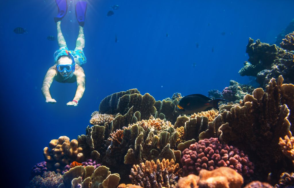 a man is snorkeling in bali wearing blue pants and swimming goggles with underwater scenery such as colorful corals