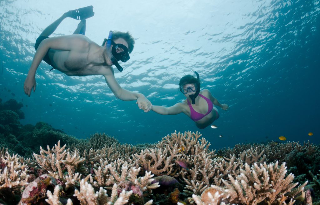 a man in black swim trunks and a woman in a purple bikini hold hands underwater while snorkeling in Bali