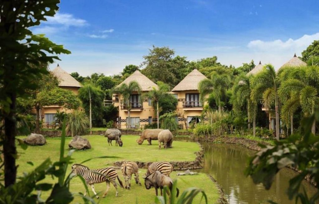 the best place to visit in Bali for couples is the Bali Safari and Marine Park where you can enjoy a safari night experience and see a variety of animals in the world from zebras, deer, and Sumatran elephants